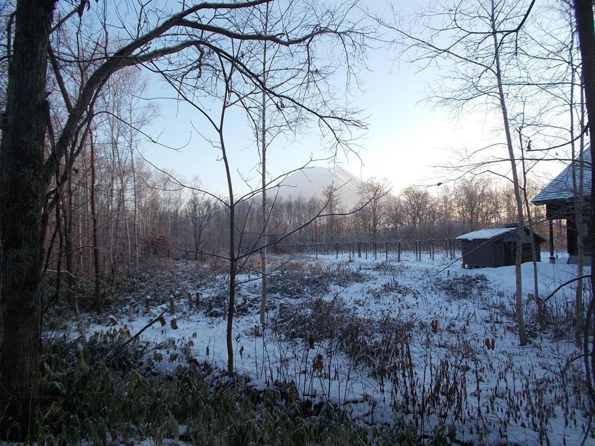 Niseko Shirokuma Cottage Zewnętrze zdjęcie