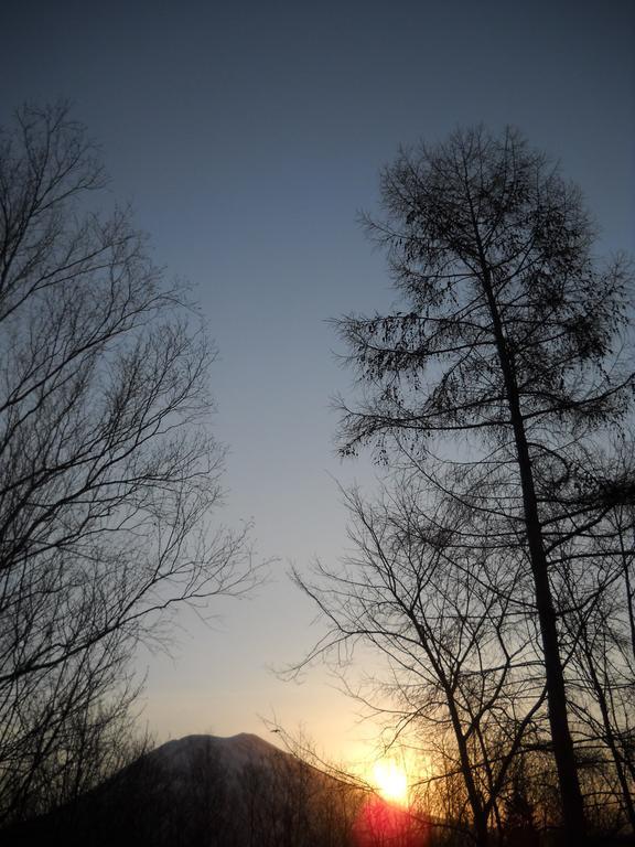 Niseko Shirokuma Cottage Zewnętrze zdjęcie